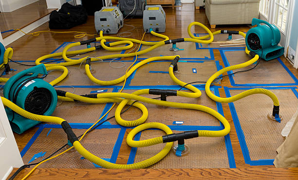 Professional Crawl Space Water Removal technician working in Halifax, PA
